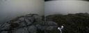 ./images/calvert/buxton2/20190629/buxton220190629_140952M.jpg