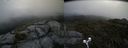 ./images/calvert/buxton2/20190629/buxton220190629_144452M.jpg