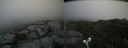 ./images/calvert/buxton2/20190629/buxton220190629_163452M.jpg