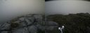 ./images/calvert/buxton2/20190629/buxton220190629_163952M.jpg
