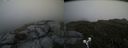 ./images/calvert/buxton2/20190629/buxton220190629_164952M.jpg
