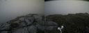 ./images/calvert/buxton2/20190629/buxton220190629_165952M.jpg