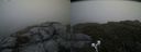 ./images/calvert/buxton2/20190629/buxton220190629_172952M.jpg
