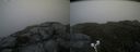 ./images/calvert/buxton2/20190629/buxton220190629_173952M.jpg
