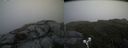 ./images/calvert/buxton2/20190629/buxton220190629_181452M.jpg