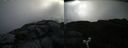 ./images/calvert/buxton2/20190630/buxton220190630_080952M.jpg