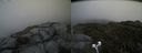 ./images/calvert/buxton2/20190630/buxton220190630_113952M.jpg