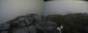 ./images/calvert/buxton2/20190630/buxton220190630_120452M.jpg