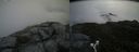 ./images/calvert/buxton2/20190701/buxton220190701_110952M.jpg