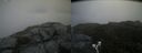 ./images/calvert/buxton2/20190701/buxton220190701_111452M.jpg