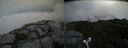 ./images/calvert/buxton2/20190701/buxton220190701_113452M.jpg