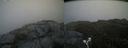 ./images/calvert/buxton2/20190702/buxton220190702_103952M.jpg