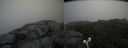 ./images/calvert/buxton2/20190702/buxton220190702_130452M.jpg