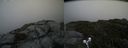 ./images/calvert/buxton2/20190702/buxton220190702_152952M.jpg