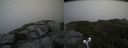./images/calvert/buxton2/20190702/buxton220190702_153952M.jpg