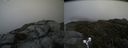 ./images/calvert/buxton2/20190702/buxton220190702_155452M.jpg