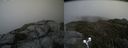 ./images/calvert/buxton2/20190702/buxton220190702_161952M.jpg