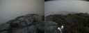 ./images/calvert/buxton2/20190702/buxton220190702_163452M.jpg