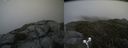 ./images/calvert/buxton2/20190702/buxton220190702_163952M.jpg