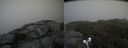 ./images/calvert/buxton2/20190702/buxton220190702_173451M.jpg