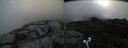 ./images/calvert/buxton2/20190703/buxton220190703_083452M.jpg