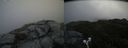 ./images/calvert/buxton2/20190703/buxton220190703_092455M.jpg