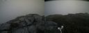 ./images/calvert/buxton2/20190703/buxton220190703_094952M.jpg