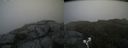 ./images/calvert/buxton2/20190703/buxton220190703_102952M.jpg