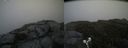 ./images/calvert/buxton2/20190703/buxton220190703_110456M.jpg