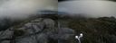 ./images/calvert/buxton2/20190703/buxton220190703_182952M.jpg