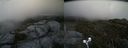 ./images/calvert/buxton2/20190703/buxton220190703_185952M.jpg