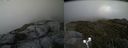 ./images/calvert/buxton2/20190703/buxton220190703_194452M.jpg