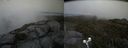 ./images/calvert/buxton2/20190703/buxton220190703_200452M.jpg