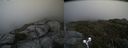 ./images/calvert/buxton2/20190703/buxton220190703_205452M.jpg