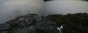 ./images/calvert/buxton2/20190704/buxton220190704_083452M.jpg