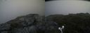 ./images/calvert/buxton2/20190704/buxton220190704_083952M.jpg