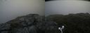 ./images/calvert/buxton2/20190704/buxton220190704_084451M.jpg