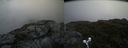 ./images/calvert/buxton2/20190704/buxton220190704_085452M.jpg