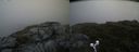 ./images/calvert/buxton2/20190704/buxton220190704_085952M.jpg