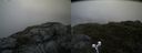 ./images/calvert/buxton2/20190704/buxton220190704_091452M.jpg