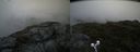 ./images/calvert/buxton2/20190704/buxton220190704_093452M.jpg
