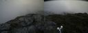 ./images/calvert/buxton2/20190704/buxton220190704_093952M.jpg