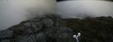 ./images/calvert/buxton2/20190704/buxton220190704_094452M.jpg