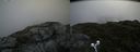./images/calvert/buxton2/20190704/buxton220190704_100452M.jpg