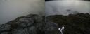 ./images/calvert/buxton2/20190704/buxton220190704_101952M.jpg