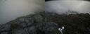 ./images/calvert/buxton2/20190704/buxton220190704_102952M.jpg