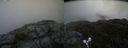 ./images/calvert/buxton2/20190704/buxton220190704_103451M.jpg