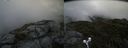 ./images/calvert/buxton2/20190704/buxton220190704_104952M.jpg