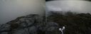 ./images/calvert/buxton2/20190704/buxton220190704_105452M.jpg