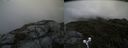 ./images/calvert/buxton2/20190704/buxton220190704_105952M.jpg